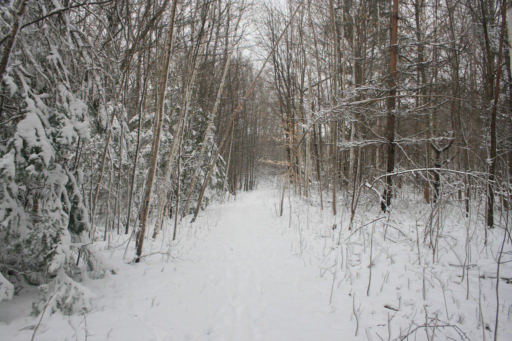 Simmons Nature Reserve | 11 Hilliard Ct, Caledon East, ON L7C 1R3, Canada | Phone: (416) 960-8121