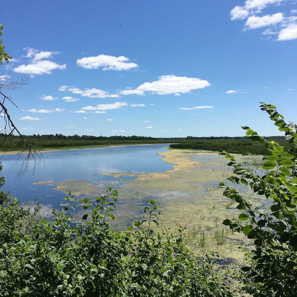 Tay Marsh Lookout Tower | Perth Wildlife Reserve Trails, Perth, ON K7H 3C7, Canada | Phone: (613) 692-3571