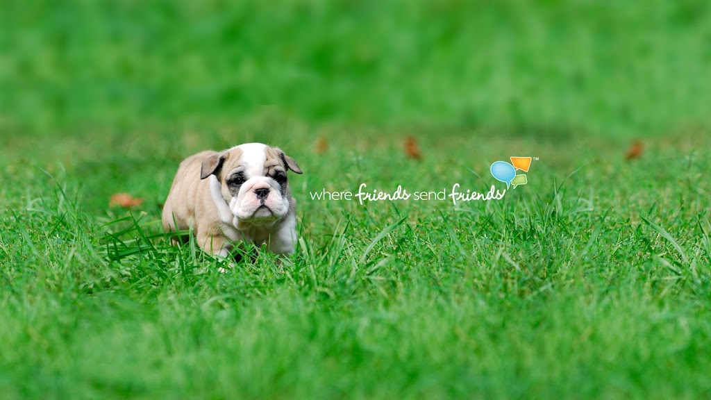 Greyfair Flooring, Inc. | Box 741, 762 2nd Ave E, Owen Sound, ON N4K 5W9, Canada | Phone: (226) 256-8370