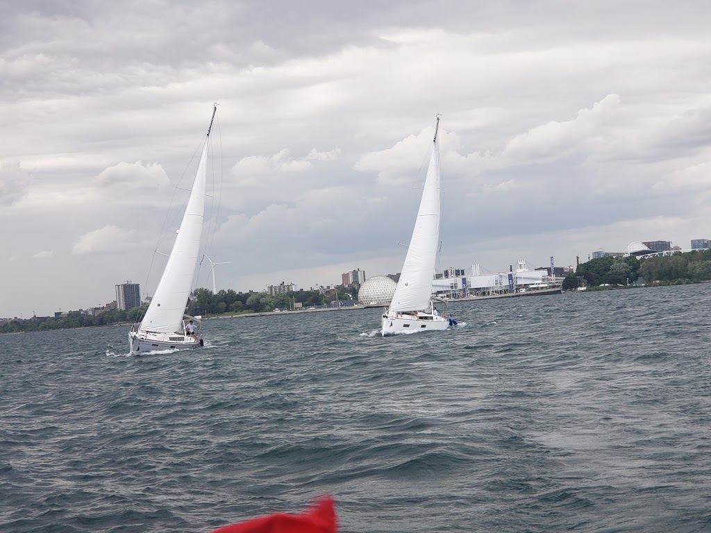 Gone Sailing Adventures | 415 Queens Quay W, Toronto, ON M5V 1A2, Canada | Phone: (416) 240-0202