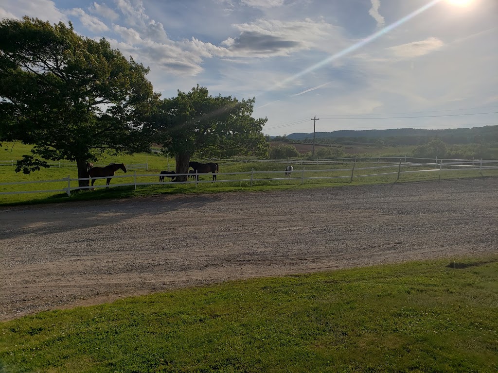 Randsland Farms Inc | 1050 Pereau Rd, Canning, NS B0P 1H0, Canada | Phone: (902) 582-7705