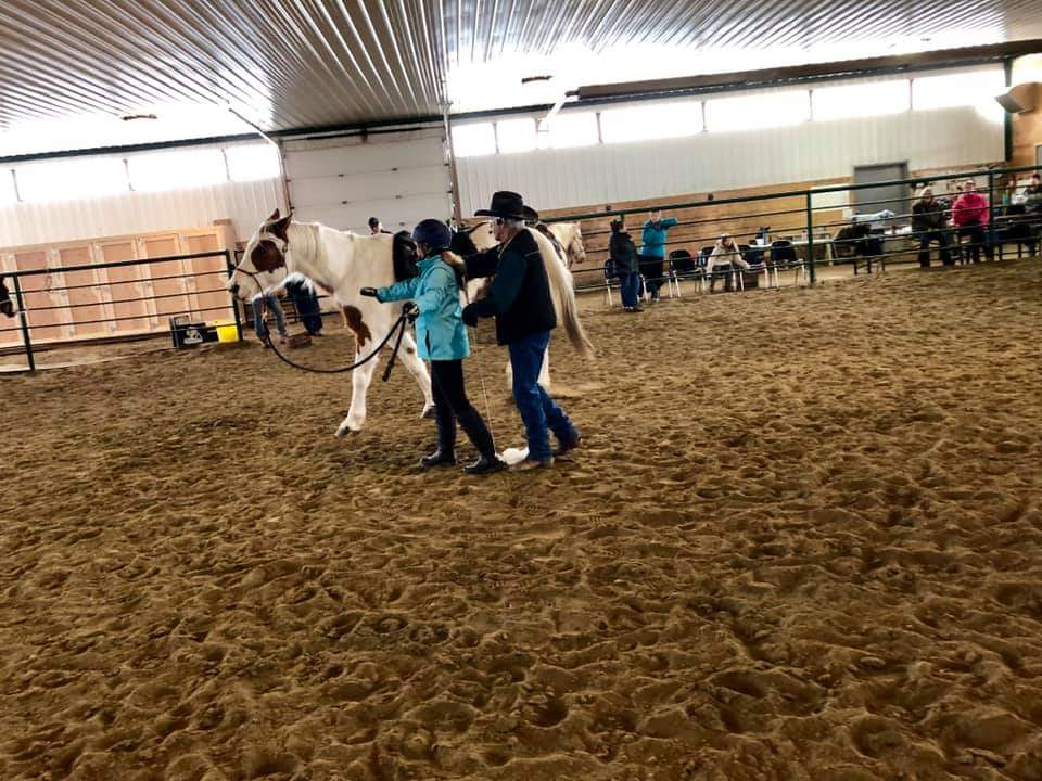 Eagle Hill Equine | RR#2, Site 6, Box 9, Olds, AB T4H 1P3, Canada | Phone: (403) 556-1195