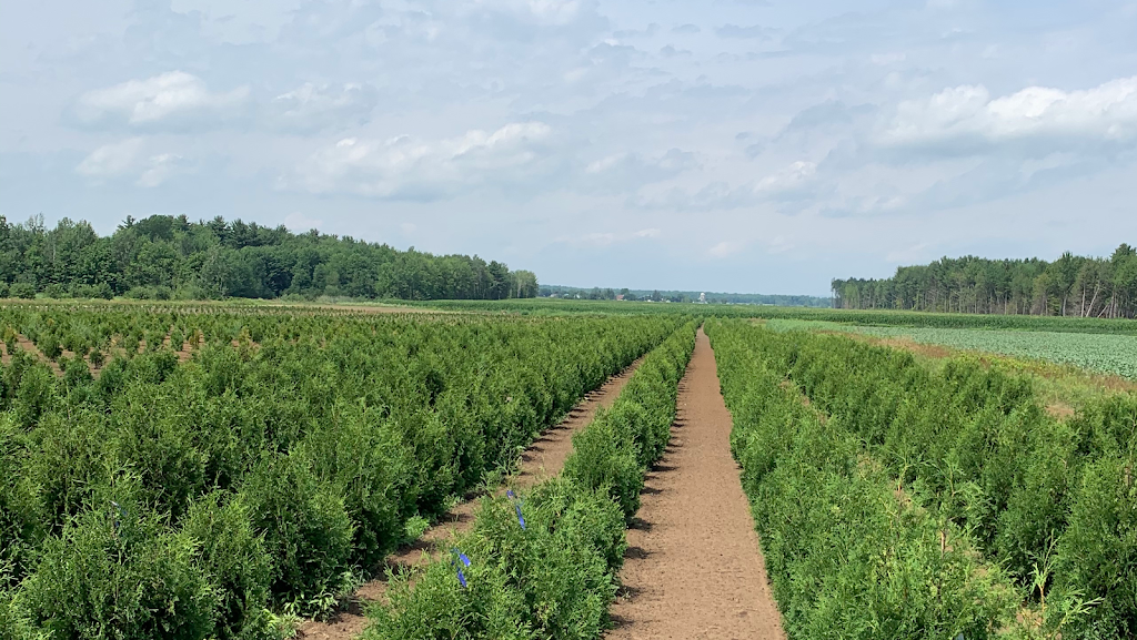 Alain Laviolette Paysagiste | 53 Du, Rue du Timonier, Oka, QC J0N 1E0, Canada | Phone: (514) 838-4333