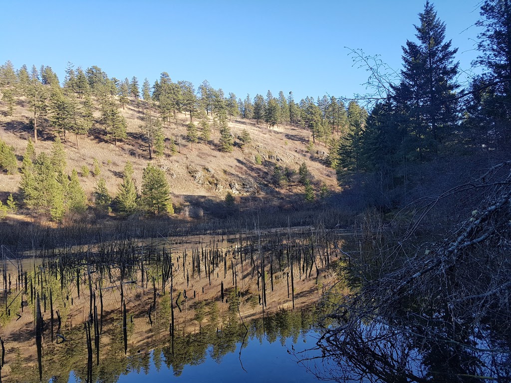 North Glenmore Dog Park | 2150 Glenmore Rd N, Kelowna, BC V1V 2C5, Canada | Phone: (250) 469-8503