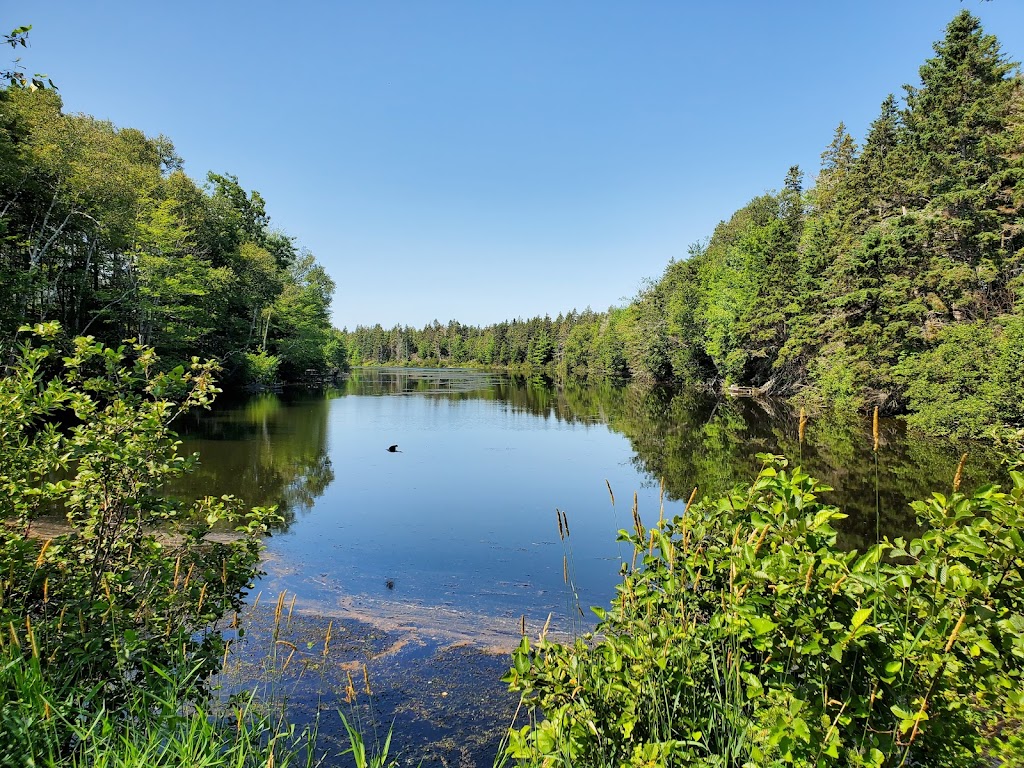 Knoxs Dam | Route 320,, Victoria Cross, PE C0A 1R0, Canada | Phone: (866) 245-0037