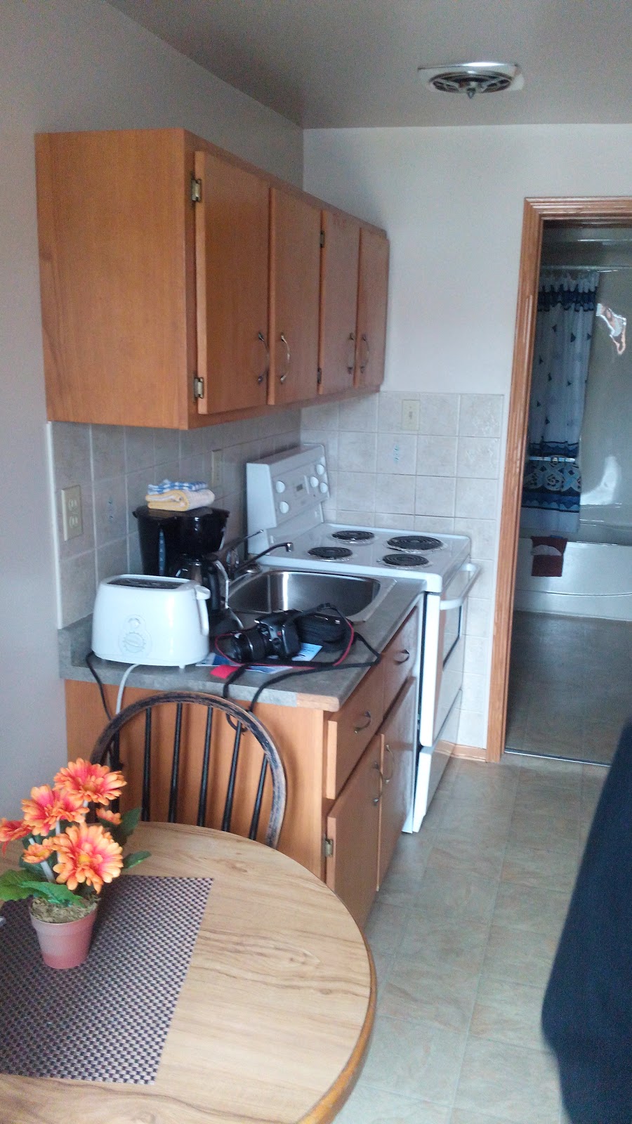 Lakehead Motel | 421 Cumberland St N, Thunder Bay, ON P7A 4P9, Canada | Phone: (807) 345-4487