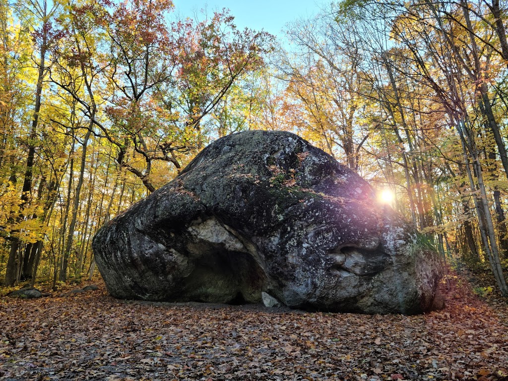 Bleasdell Boulder Conservation Area | Trenton, Quinte West, ON K8V 5P6, Canada | Phone: (613) 394-4829