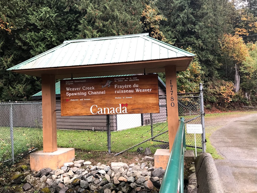 Weaver Creek Spawning Channel | 17780 Morris Valley Rd, Agassiz, BC V0M 1A1, Canada | Phone: (604) 796-9444
