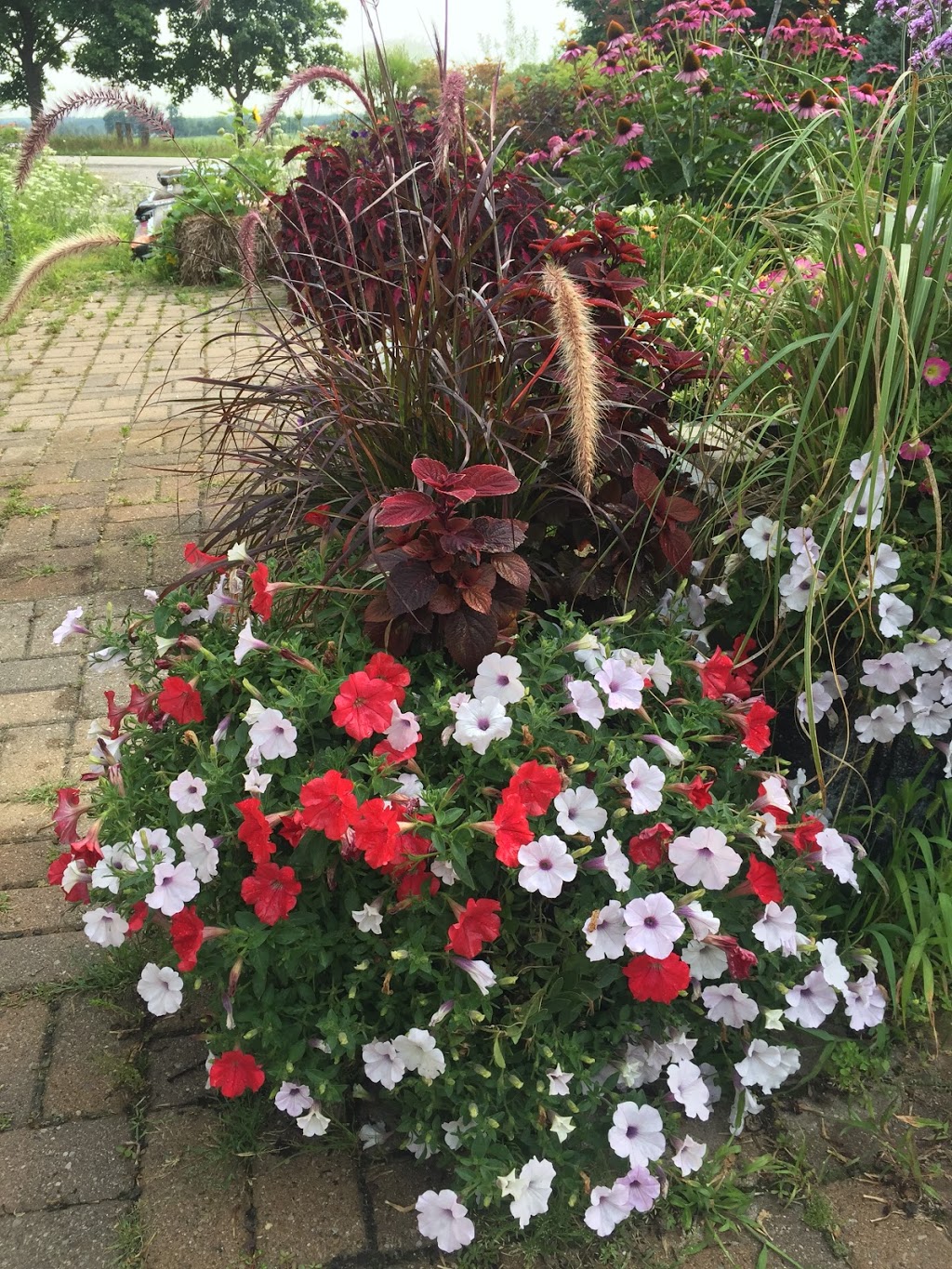 Eramosa Garden Centre | 5104 3 Line, Guelph/Eramosa, ON N0B 2K0, Canada | Phone: (519) 993-2583