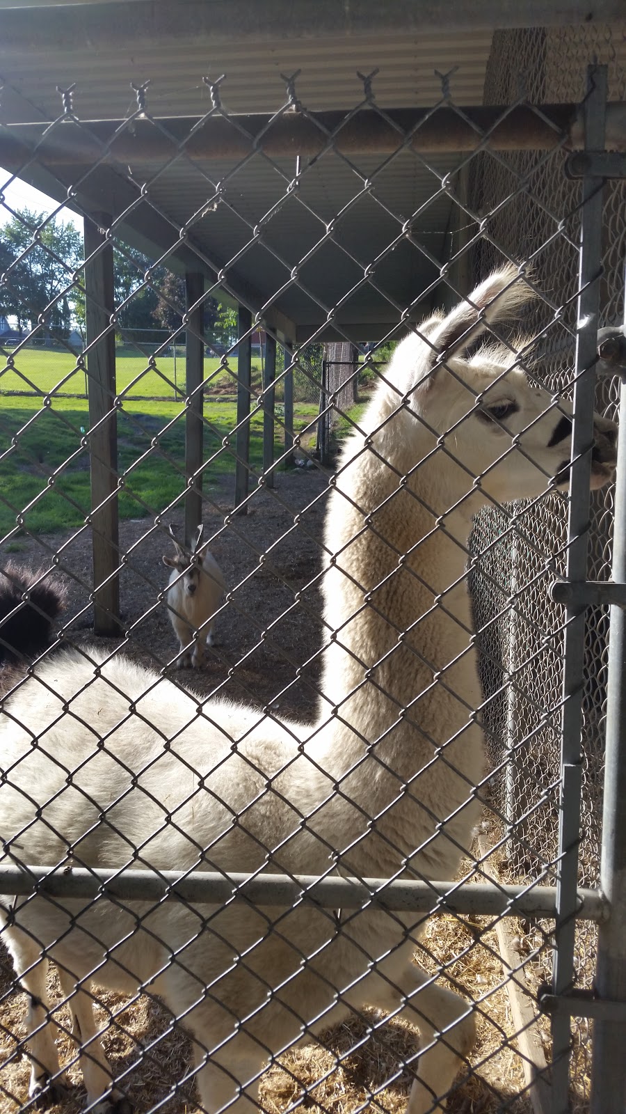 West Perth Animal Park | zoo | Mitchell, ON N0K 1N0, Canada
