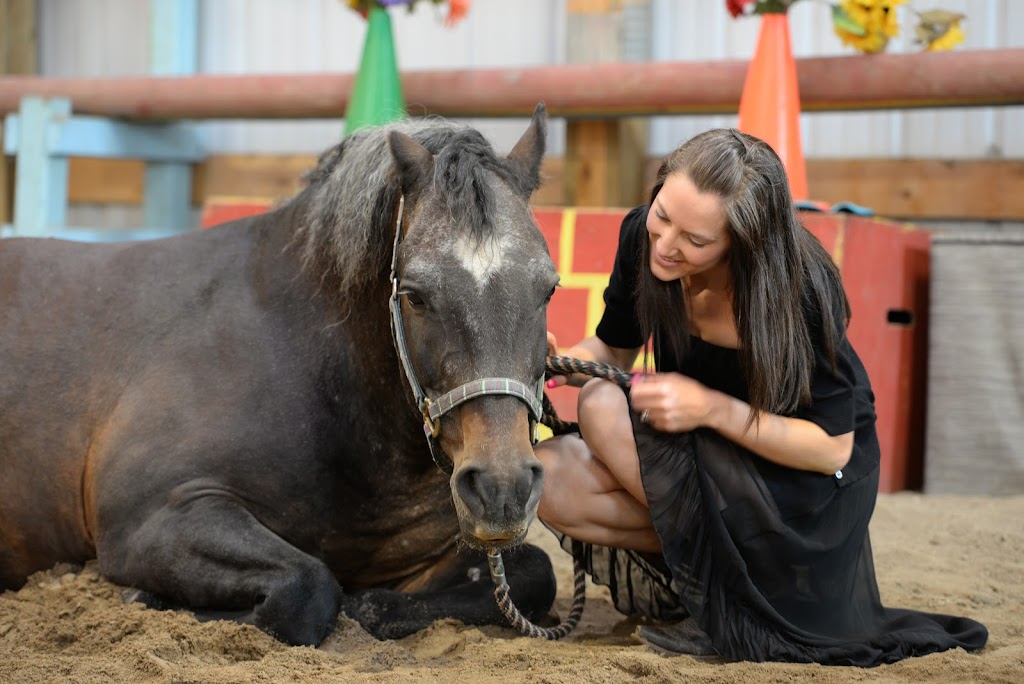 Equine Connection - The Academy of Equine Assisted Learning | 264039a Township Rd 224, Carseland, AB T0J 0M0, Canada | Phone: (403) 560-1153