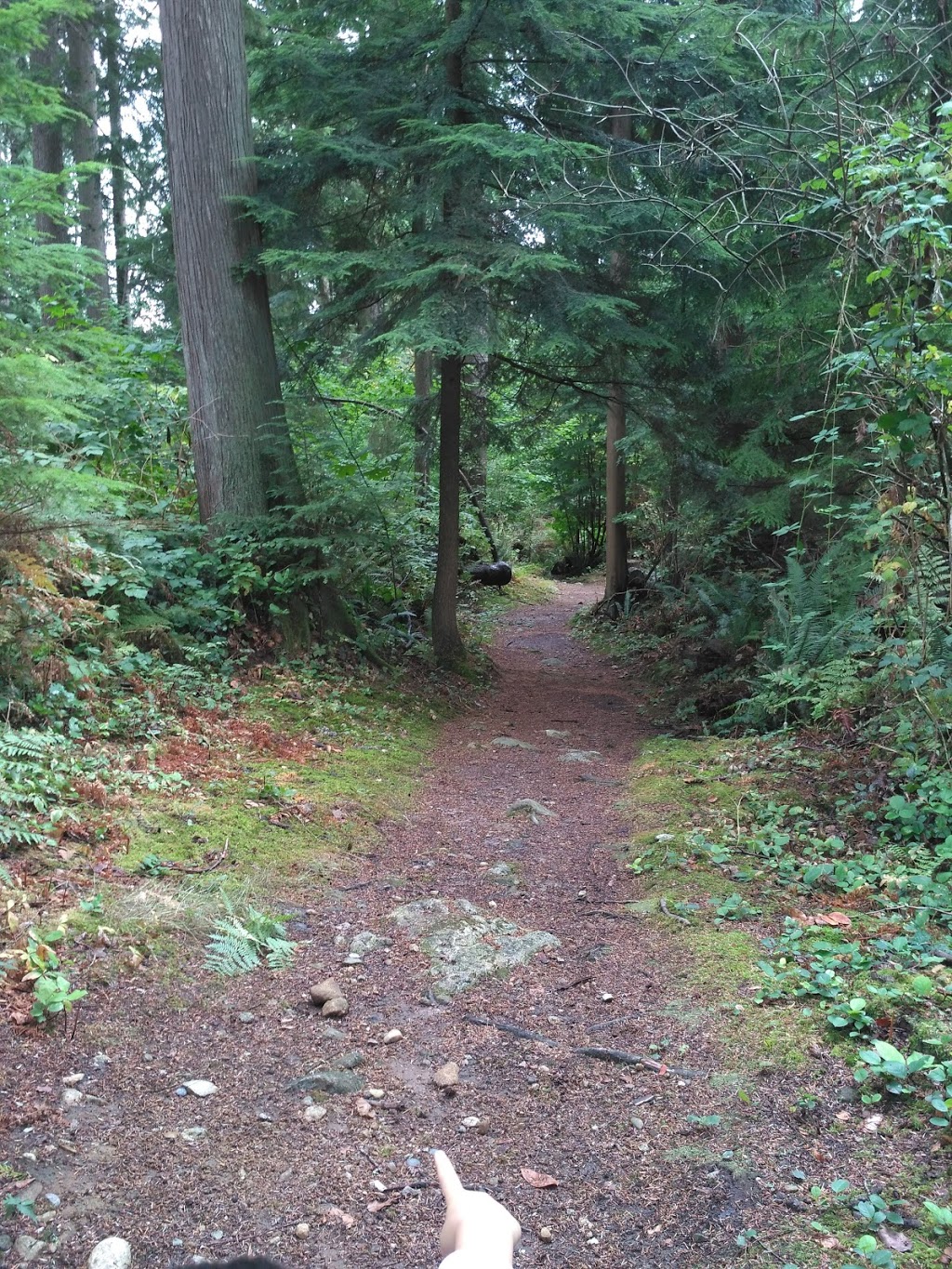 Walton Park | 3000 Guildford Way, Coquitlam, BC V3B 6Y1, Canada | Phone: (604) 927-3000