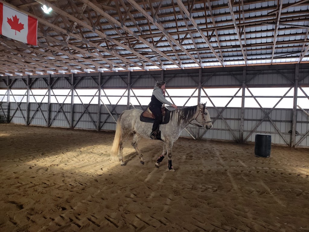 Pine Grove Farms | 315 Pine Grove Rd, Castleton, ON K0K 1M0, Canada | Phone: (905) 376-0829