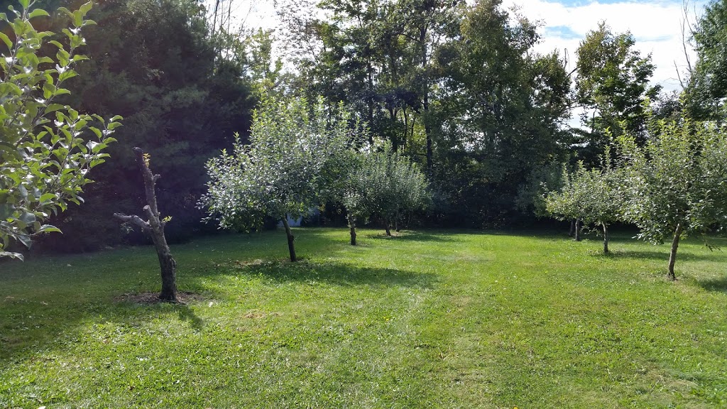 Rural Route Orchard | 10308 Fourth Line, Halton Hills, ON L9T 2X9, Canada | Phone: (905) 873-7687