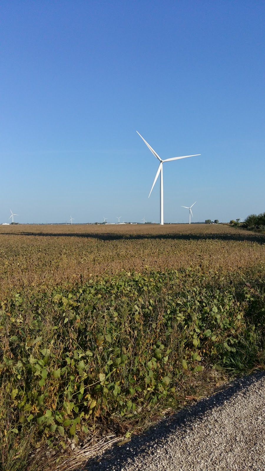Sollio Agriculture | 3062 Essex 8, Staples, ON N0P 2J0, Canada | Phone: (800) 265-0595