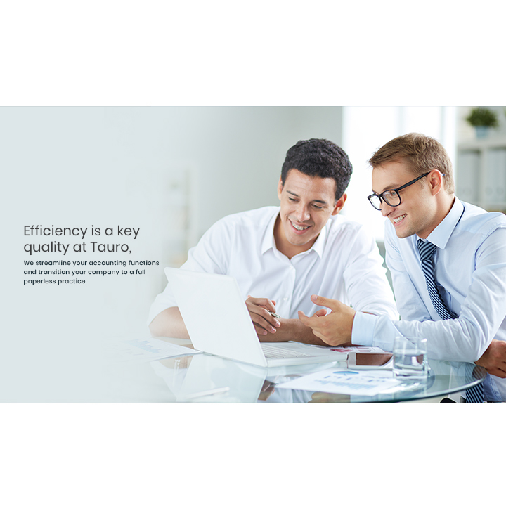 Tauro Accounting CPA Professional Corporation | 104 Mill St W, Acton, ON L7J 1G5, Canada | Phone: (416) 272-4068