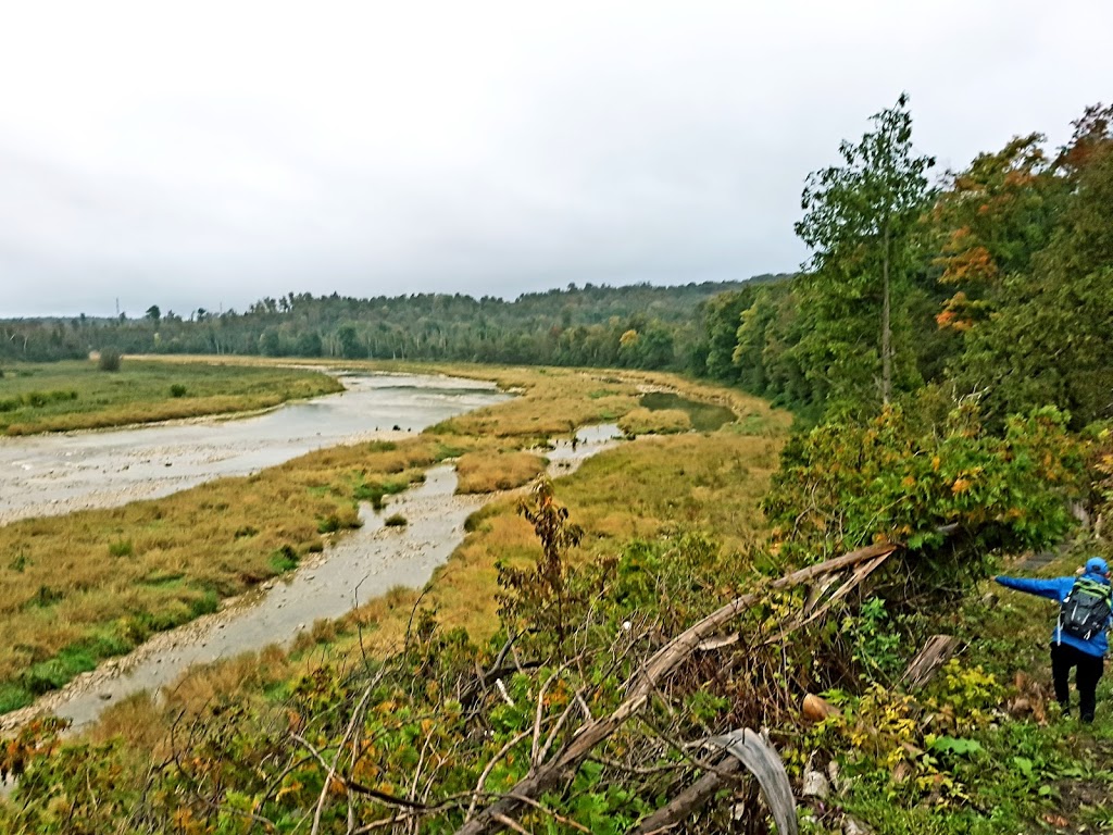 Morris Tract Provincial Nature Reserve | 36833 Londesboro Rd, Goderich, ON N7A 3Y1, Canada | Phone: (519) 243-2220