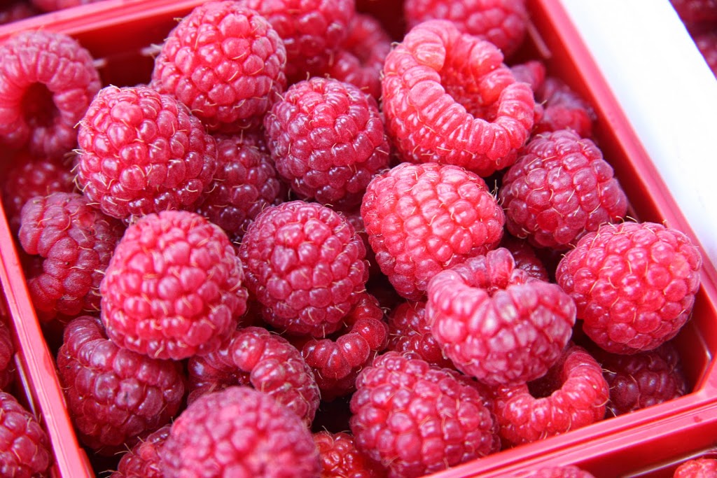 Paradis des Fruits Dunham | 519 Rue Bruce, Dunham, QC J0E 1M0, Canada | Phone: (450) 295-2667