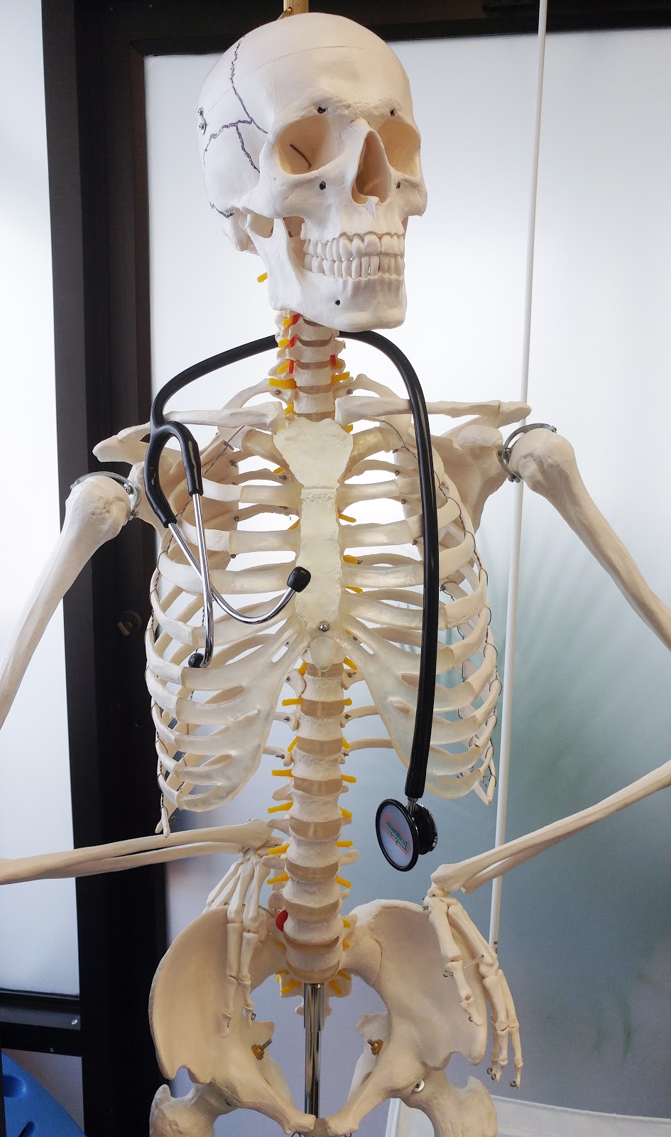 My Toronto Osteopath | 385 The West Mall Unit 3, Etobicoke, ON M9C 1E7, Canada | Phone: (416) 252-9082