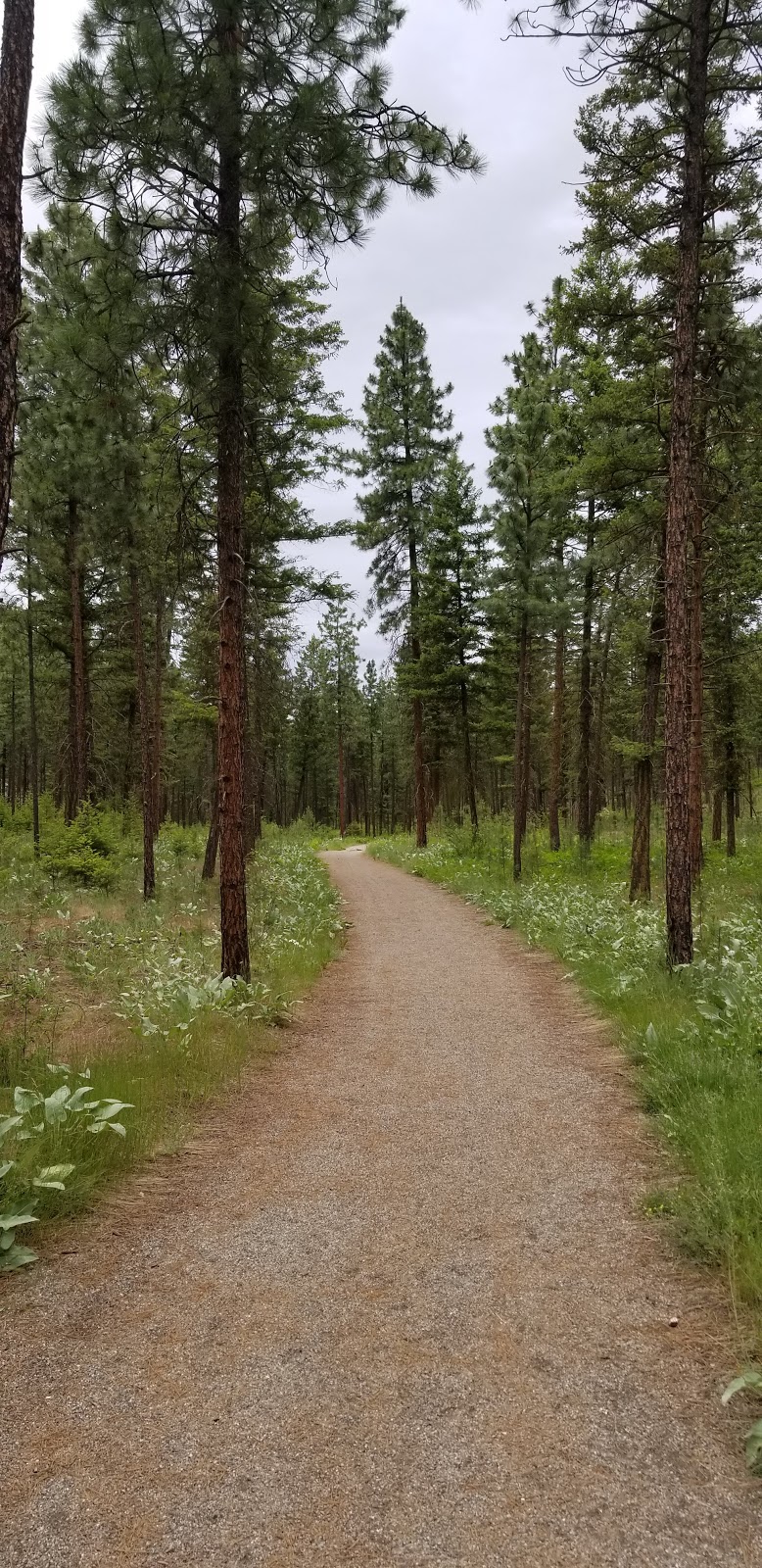 Quail Ridge Linear Park | Kelowna, BC V1V 2S4, Canada | Phone: (250) 717-2757