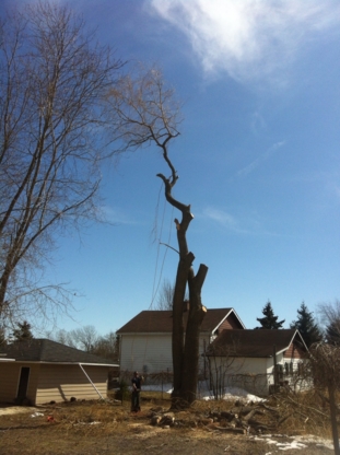 Huron Bay Tree Service | 79 Heather Lynn Blvd, Tara, ON N0H 2N0, Canada | Phone: (519) 934-3545