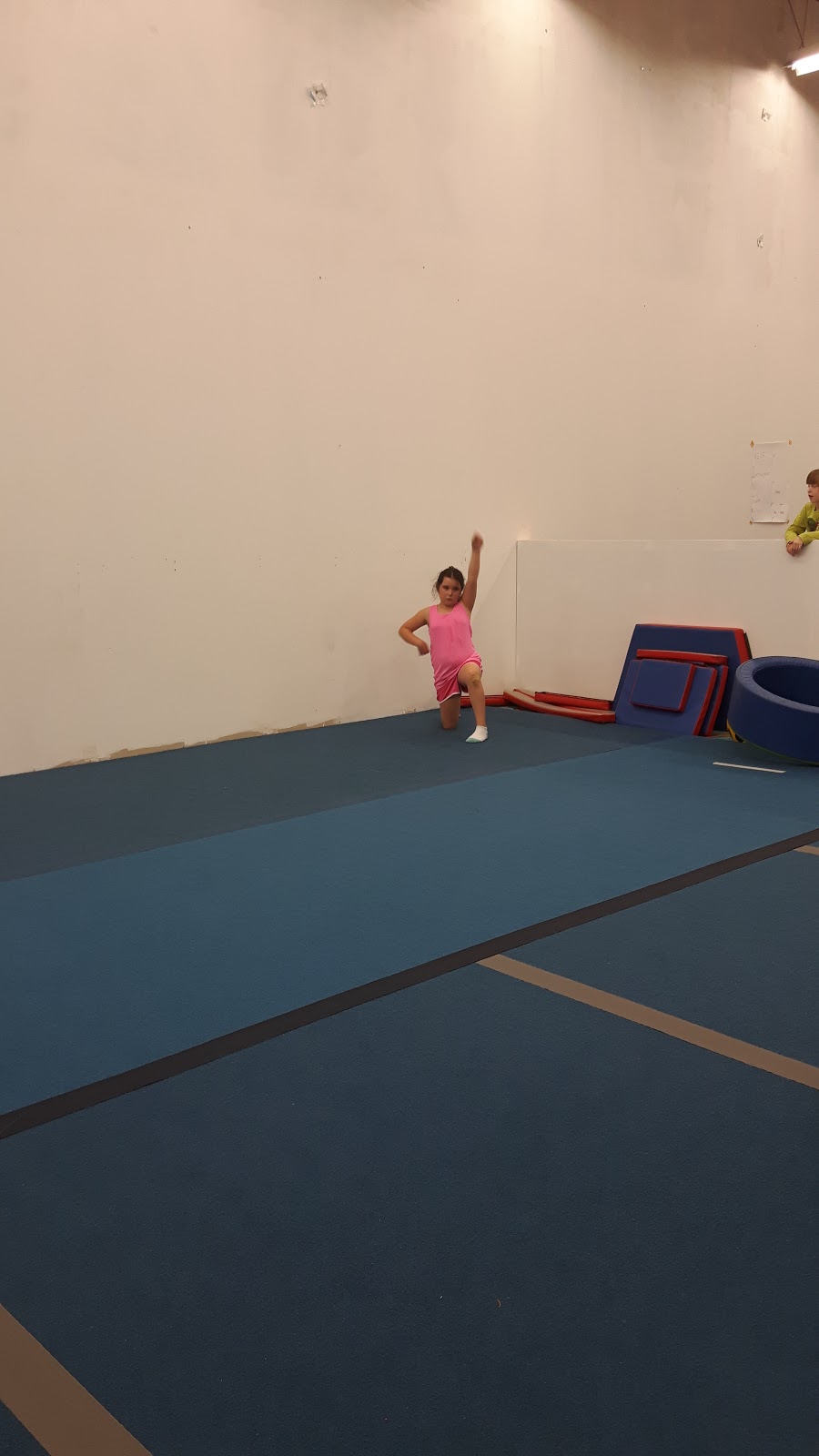 Cheer On Bears Cheerleading | 30 Arrow Rd, Guelph, ON N1K 1S6, Canada | Phone: (226) 971-1614