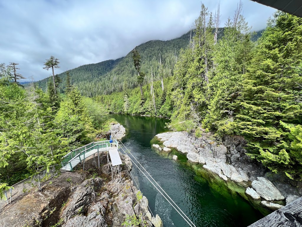 WestCoast WILD Zipline | 51861 Pacific Rim Hwy, Alberni-Clayoquot, BC V0R 2Z0, Canada | Phone: (877) 992-9453