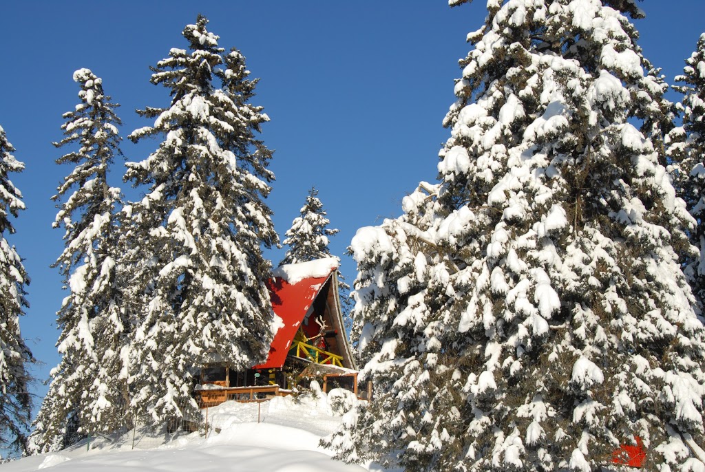 Village Du Père Noël Inc | 987 Route Morin, Val-David, QC J0T 2N0, Canada | Phone: (819) 322-2146