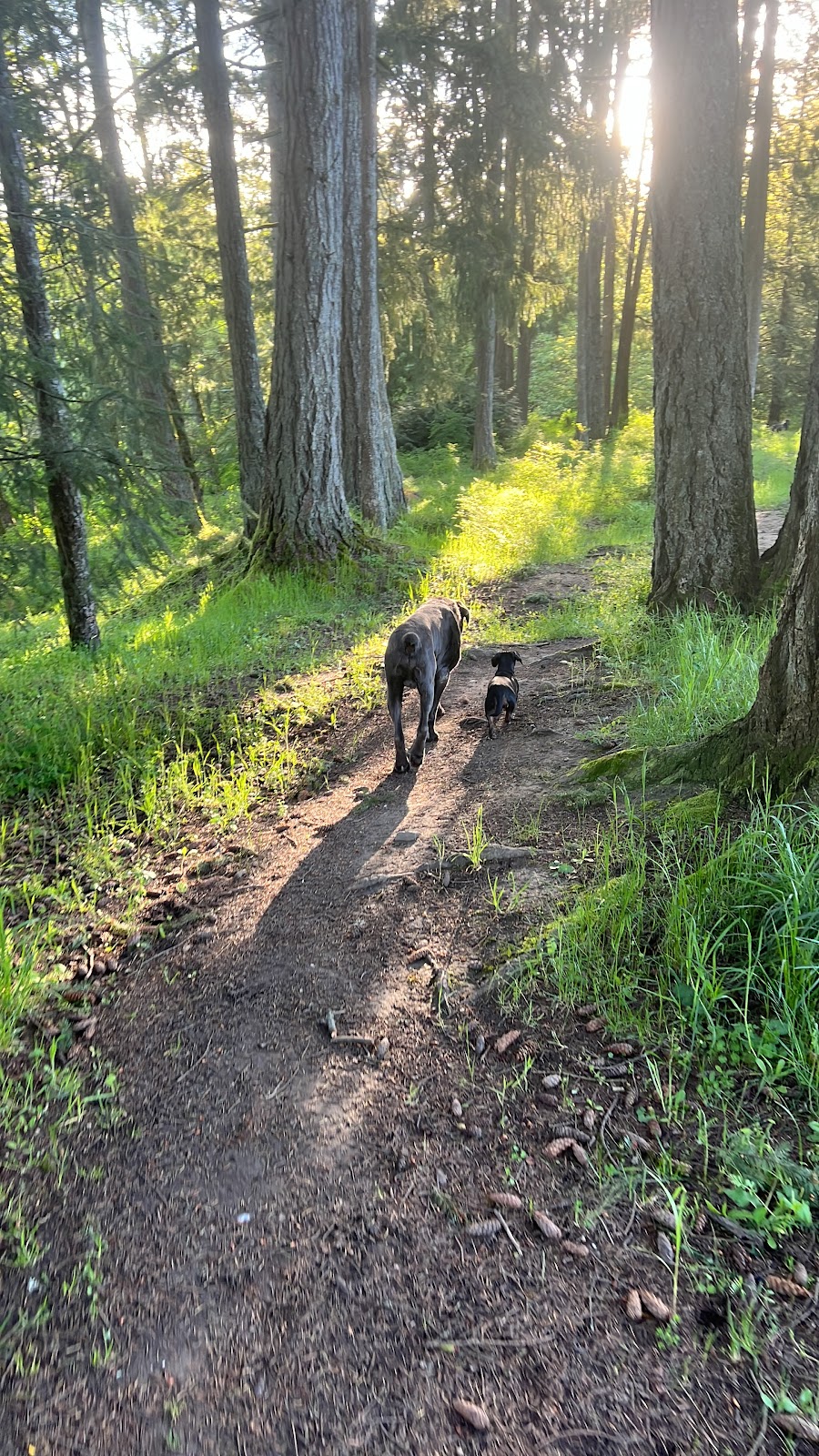 Source K9 Dog Training and Rehabilitation | 4990 Wilson Rd, Duncan, BC V9L 6L5, Canada | Phone: (250) 216-1462