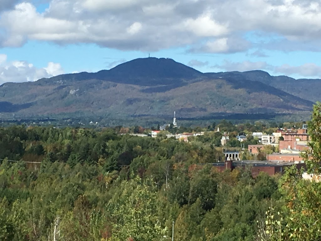 Andrée Fortin Psychologue | 459 Rue Rolland-Dion, Magog, QC J1X 7T5, Canada | Phone: (819) 679-5050