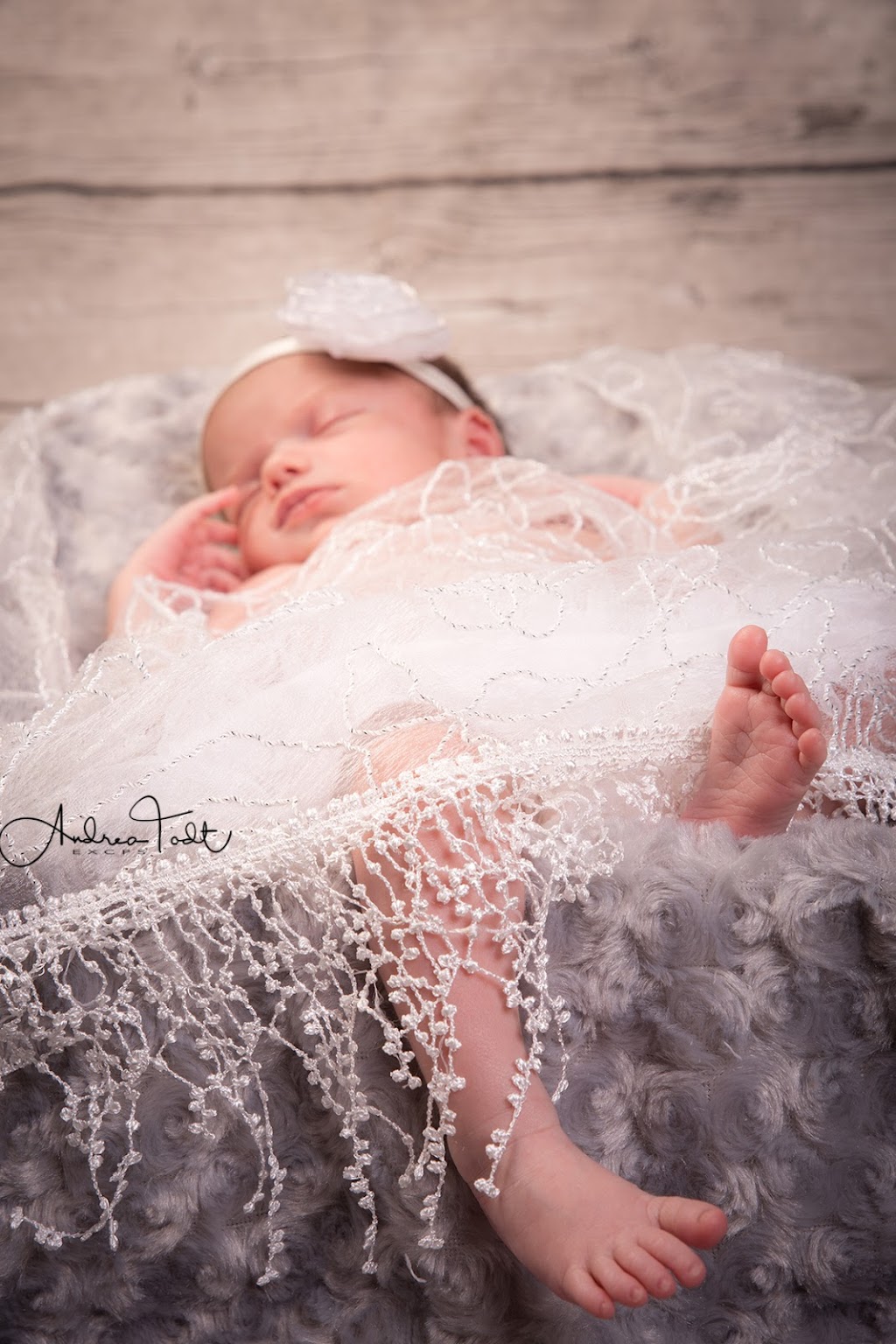 Andrea Todt Photography | Millrise Close SW, Calgary, AB T2Y 2G7, Canada | Phone: (587) 777-5505