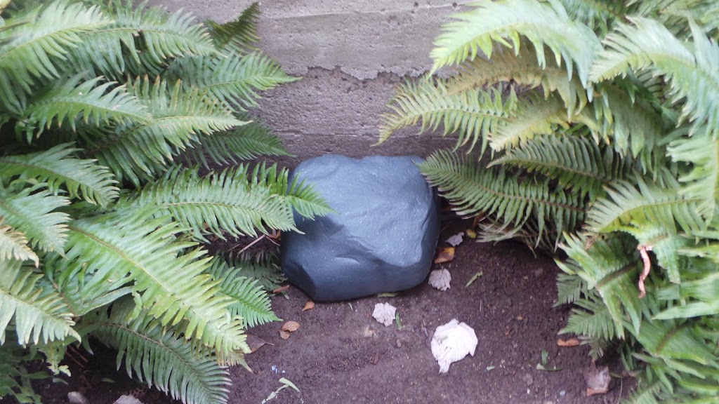 Westside Pest Control Coquitlam | 1-120 Glacier St, Coquitlam, BC V3V 3L6, Canada | Phone: (604) 498-0225