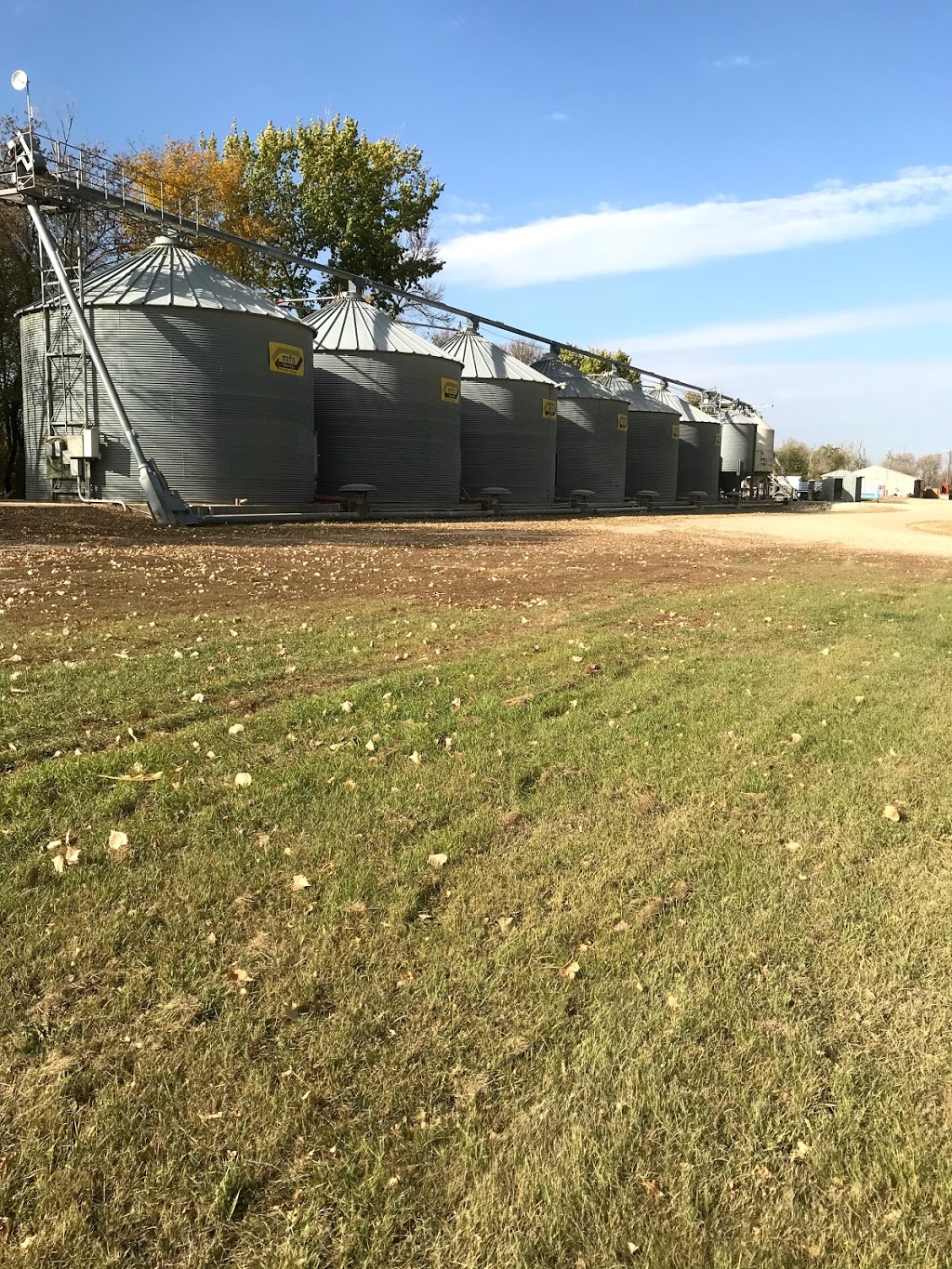 Petkau Ent Ltd | 28087rd. 15n, Stanley, MB R6M 1B9, Canada | Phone: (204) 822-3877