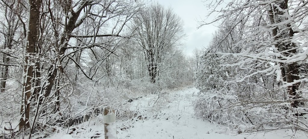Speyside Creek | 7745 17 Side Rd, Acton, ON L7J 2M1, Canada | Phone: (905) 854-2741