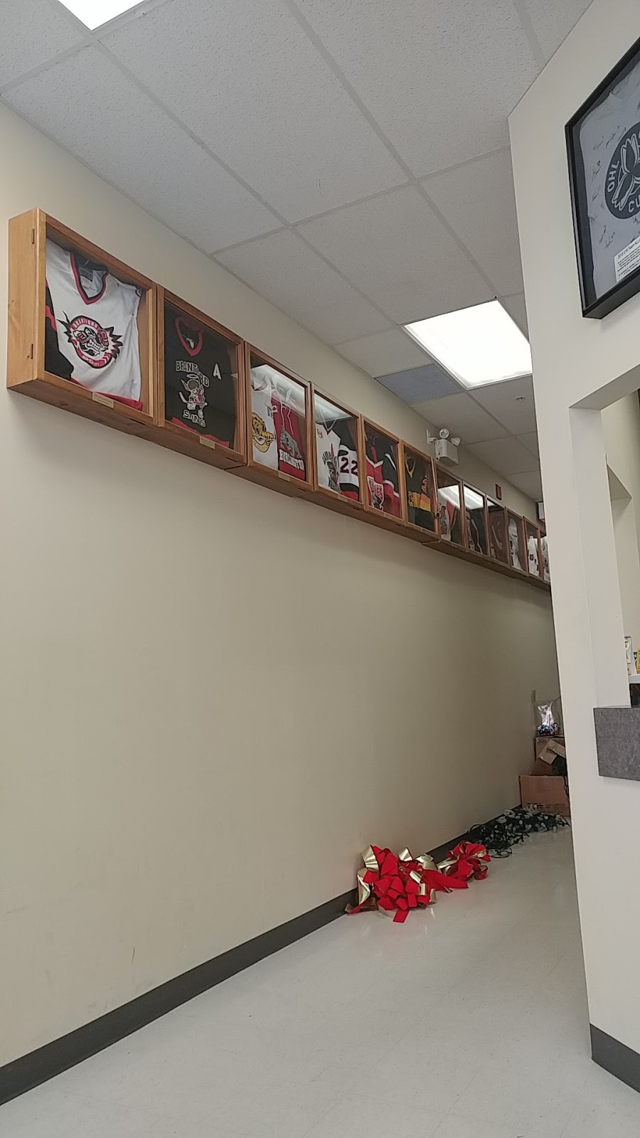 Minor Hockey Alliance Of Ontario | 55 Lorne Ave E Unit #4, Stratford, ON N5A 6S4, Canada | Phone: (519) 273-7209