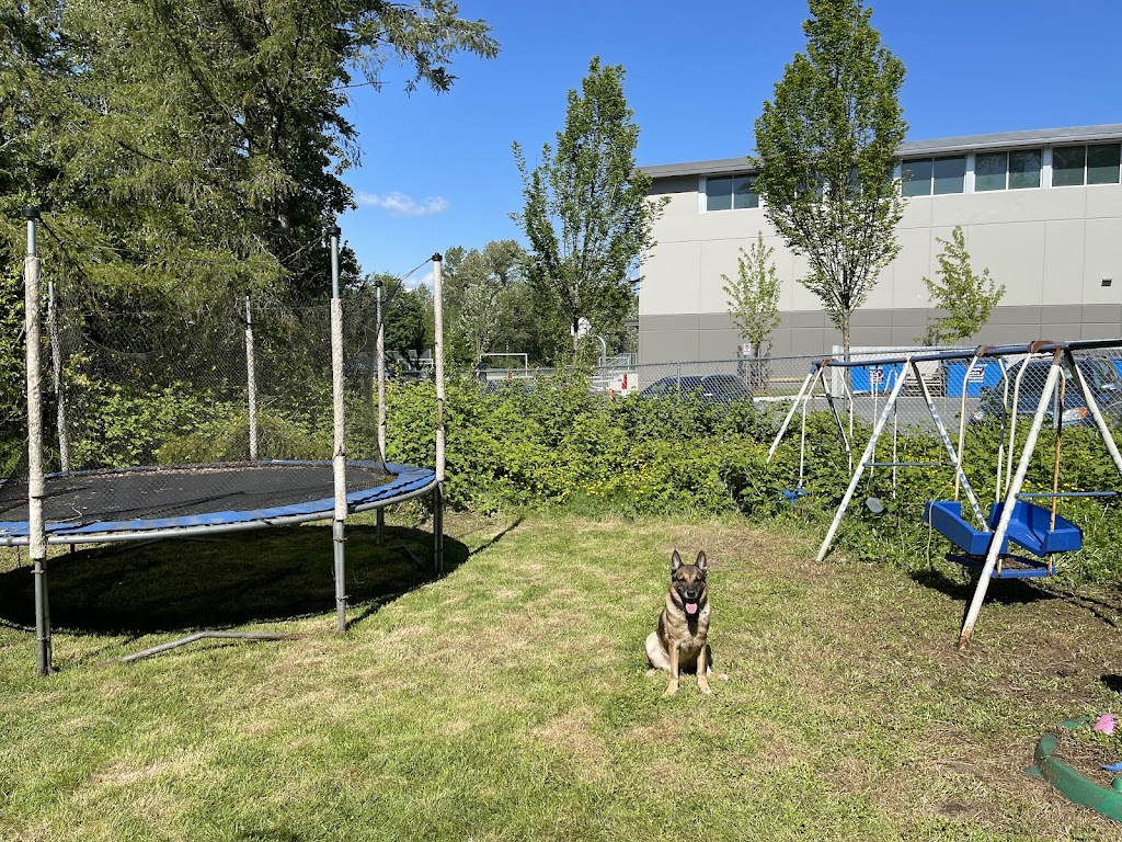 K9 Friends Dog Daycare | 19345 76 Ave, Surrey, BC V4N 6C6, Canada | Phone: (604) 763-8644