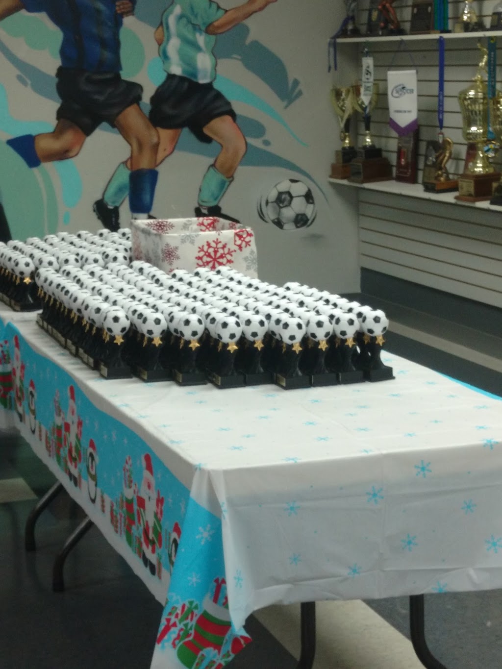 Dixie Soccer Club | 1200 Kamato Rd, Mississauga, ON L4W 1Y1, Canada | Phone: (905) 896-1579