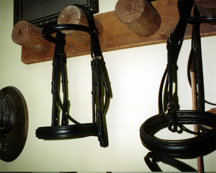 McKenzie Saddlery | 104 Green Briar Road, Alliston, ON L9R 1R4, Canada | Phone: (416) 262-6251