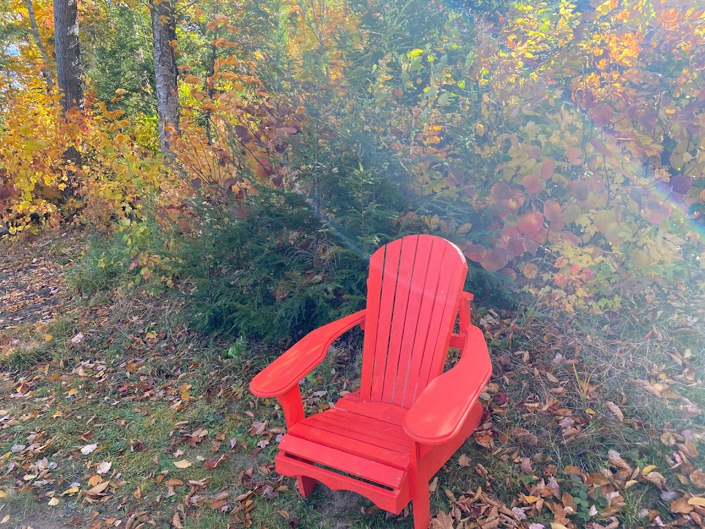 Highland Grove Camping by the Lake | 7052 Loop Rd, Highland Grove, ON K0L 2A0, Canada | Phone: (647) 946-4949