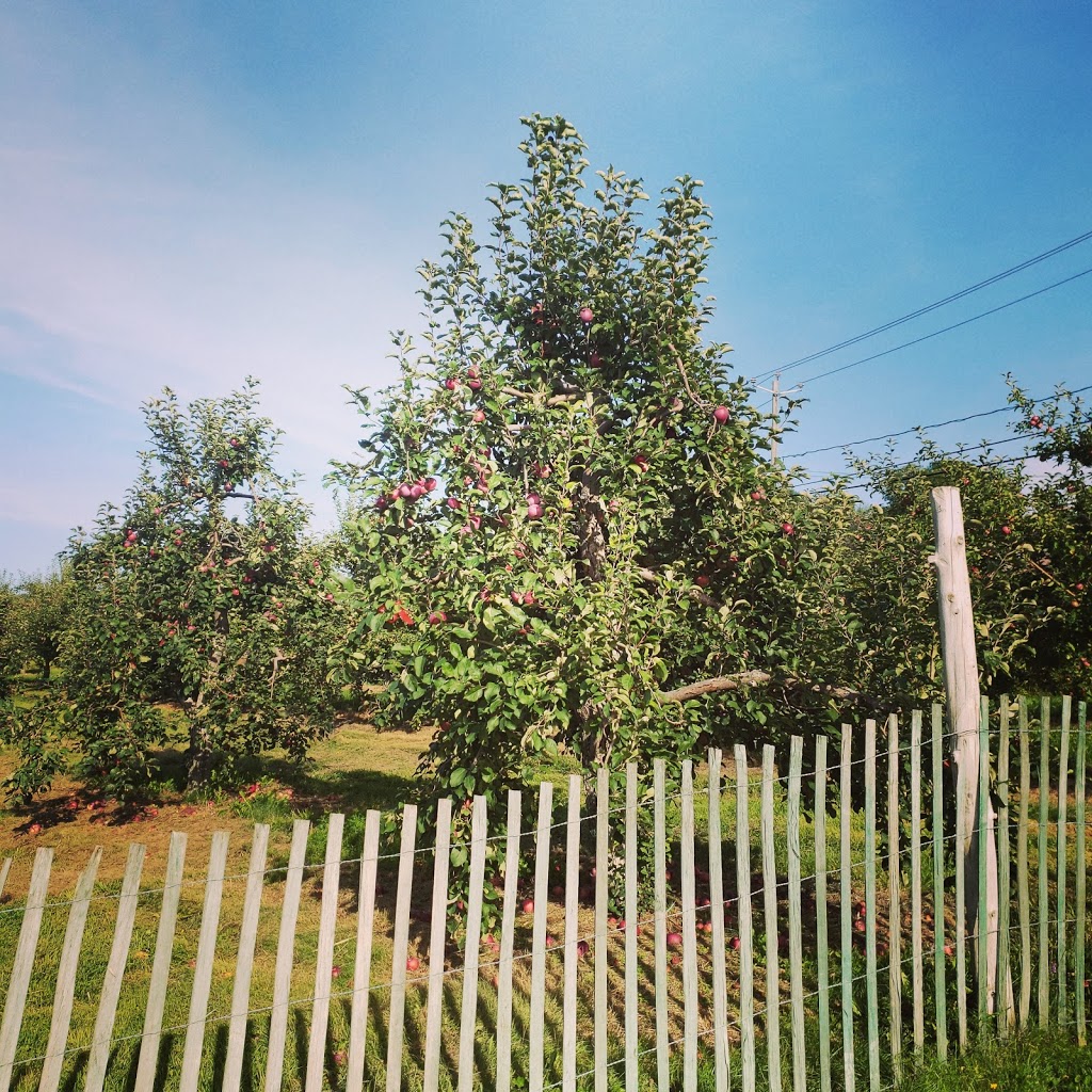 Verger Cidrerie Larivière | 777 QC-139, Saint-Théodore-dActon, QC J0H 1Z0, Canada | Phone: (450) 546-7773