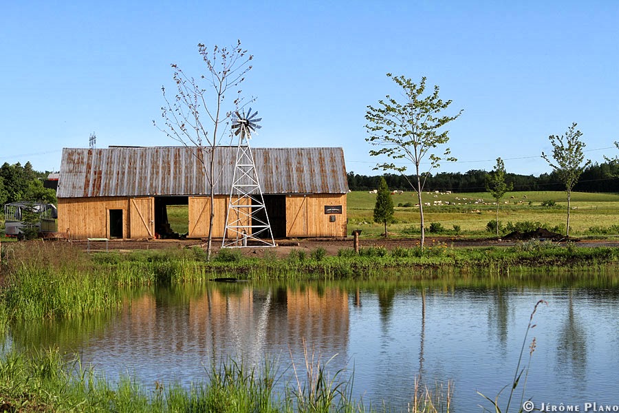 Ferme Nouvelle-France | 2581 Rang Augusta, Sainte-Angèle-de-Prémont, QC J0K 1R0, Canada | Phone: (819) 268-4159