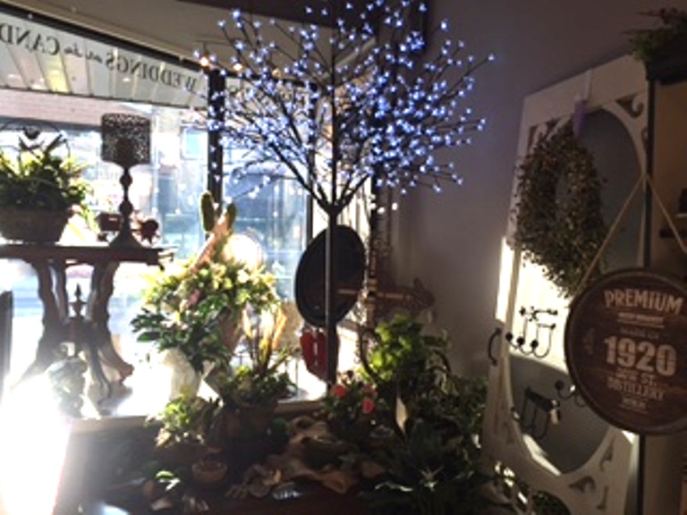 House of Bloom | 250 Josephine St, Wingham, ON N0G 2W0, Canada | Phone: (226) 422-4200