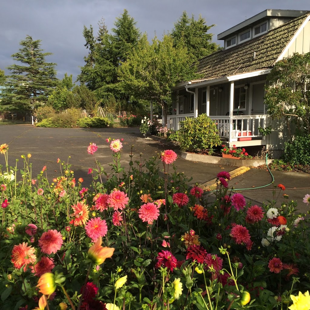 The Storage Place | 845 Argyle Ave, Friday Harbor, WA 98250, USA | Phone: (360) 378-2311