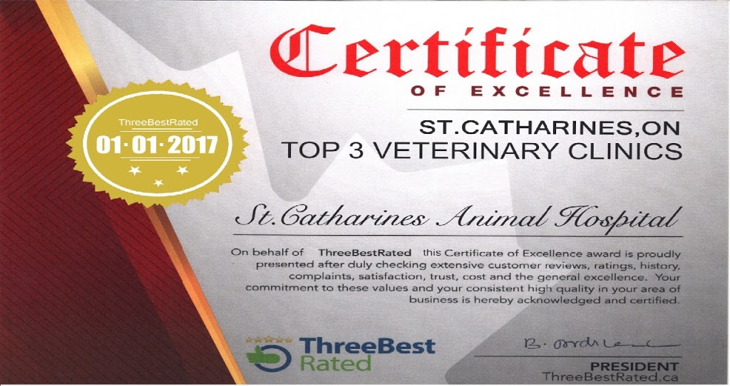 St. Catharines Animal Hospital | 277 Welland Ave, St. Catharines, ON L2R 2P7, Canada | Phone: (905) 650-8383