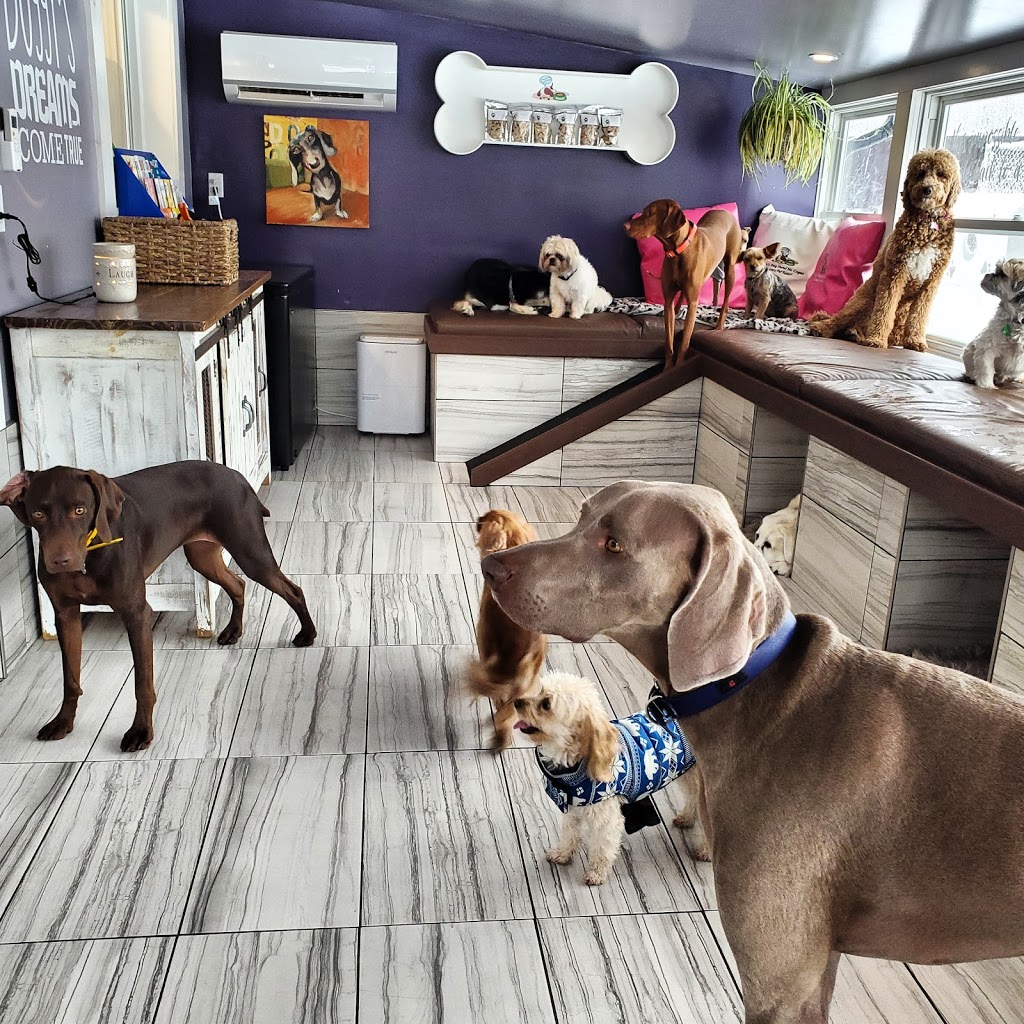 Chriss Dog Hotel No Cages Luxury Pet Resort | 1205 Moira St W, Belleville, ON K8R 1G1, Canada | Phone: (613) 968-4004