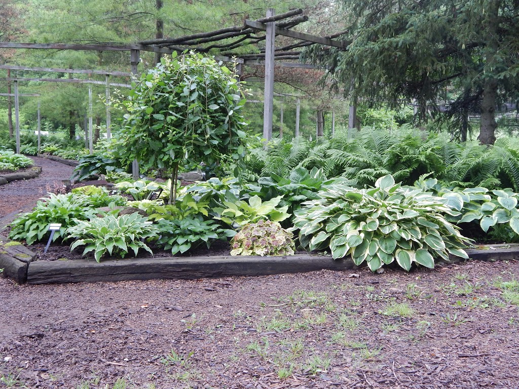 Hosta Choice Gardens | 4897 Irish Dr, Appin, ON N0L 1A0, Canada | Phone: (519) 289-5471