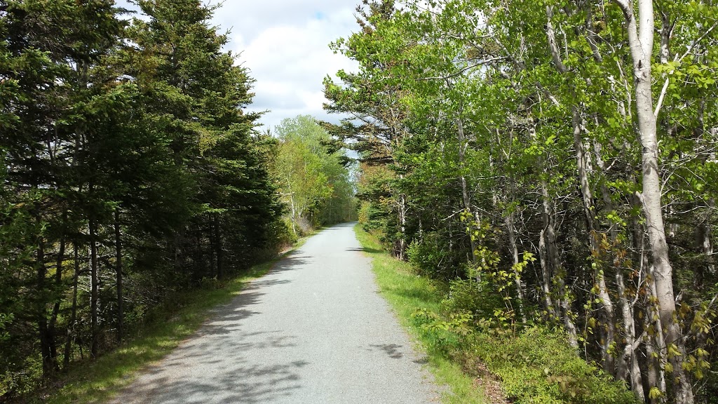 Salt Marsh Trail | Trans Canada Trial, Cole Harbour, NS B2V 2T2, Canada