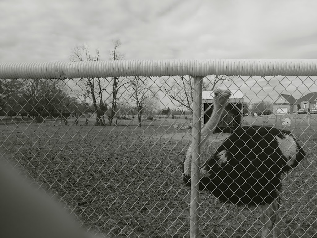 Crispline Fence Systems | 2413 Abingdon Rd, Caistor Centre, ON L0R 1E0, Canada | Phone: (905) 957-7447
