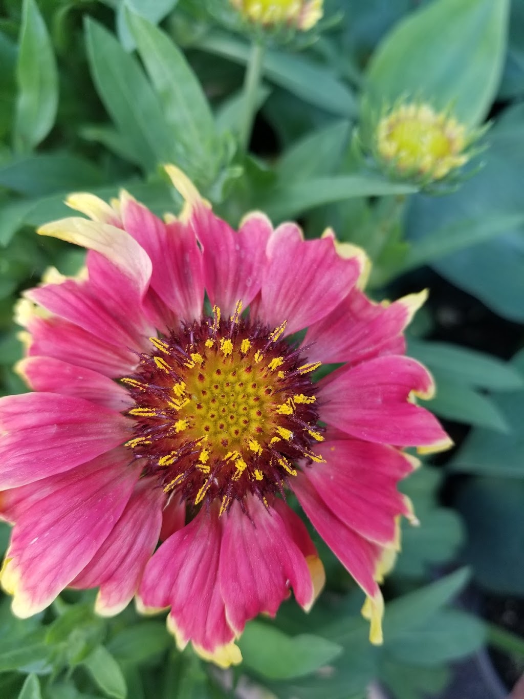 Jardins Paquette | 1491 QC-139, Sutton, QC J0E 2K0, Canada | Phone: (450) 538-3819