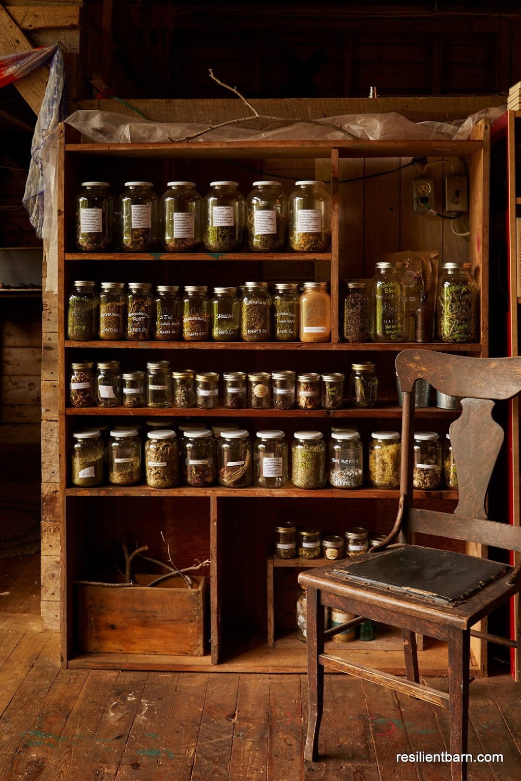 Resilient Barn & dig it! Naturals | 731 Ardoise School Rd, Mount Uniacke, NS B0N 1Z0, Canada | Phone: (902) 999-1907